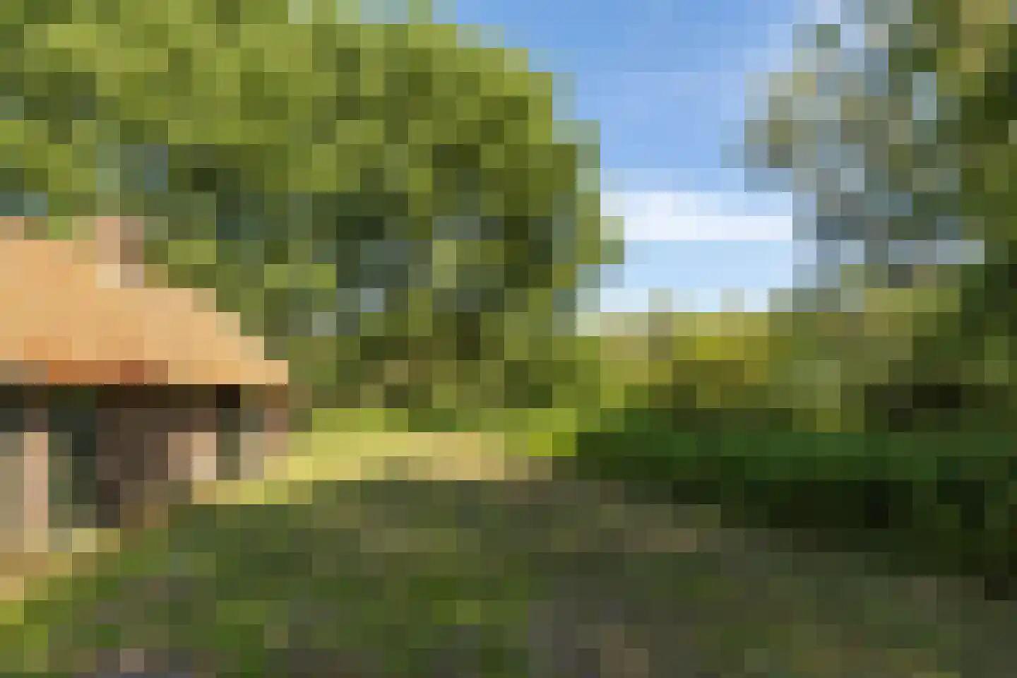 Vissershang 6 Hank thumbnail 9