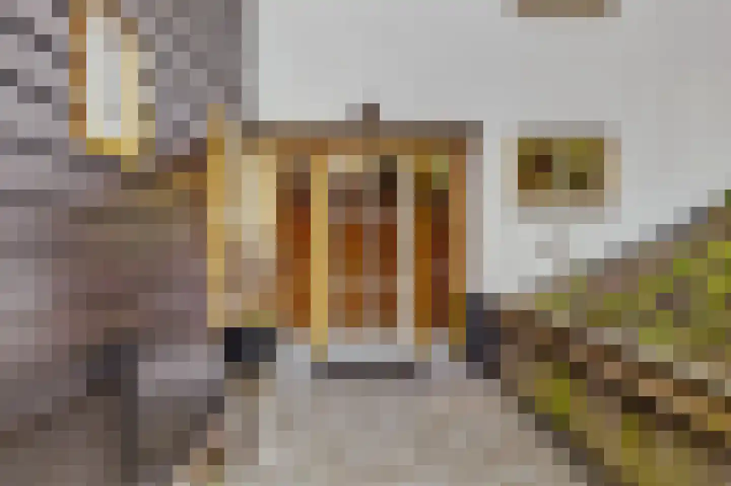 Visserskade 42 Hank thumbnail 13