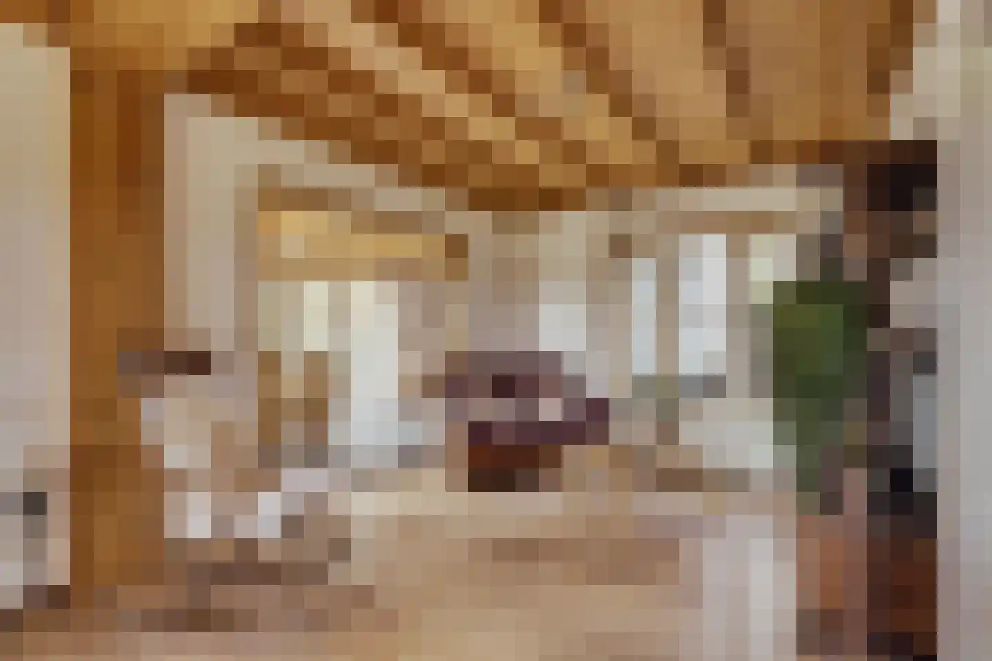 Visserskade 42 Hank thumbnail 19