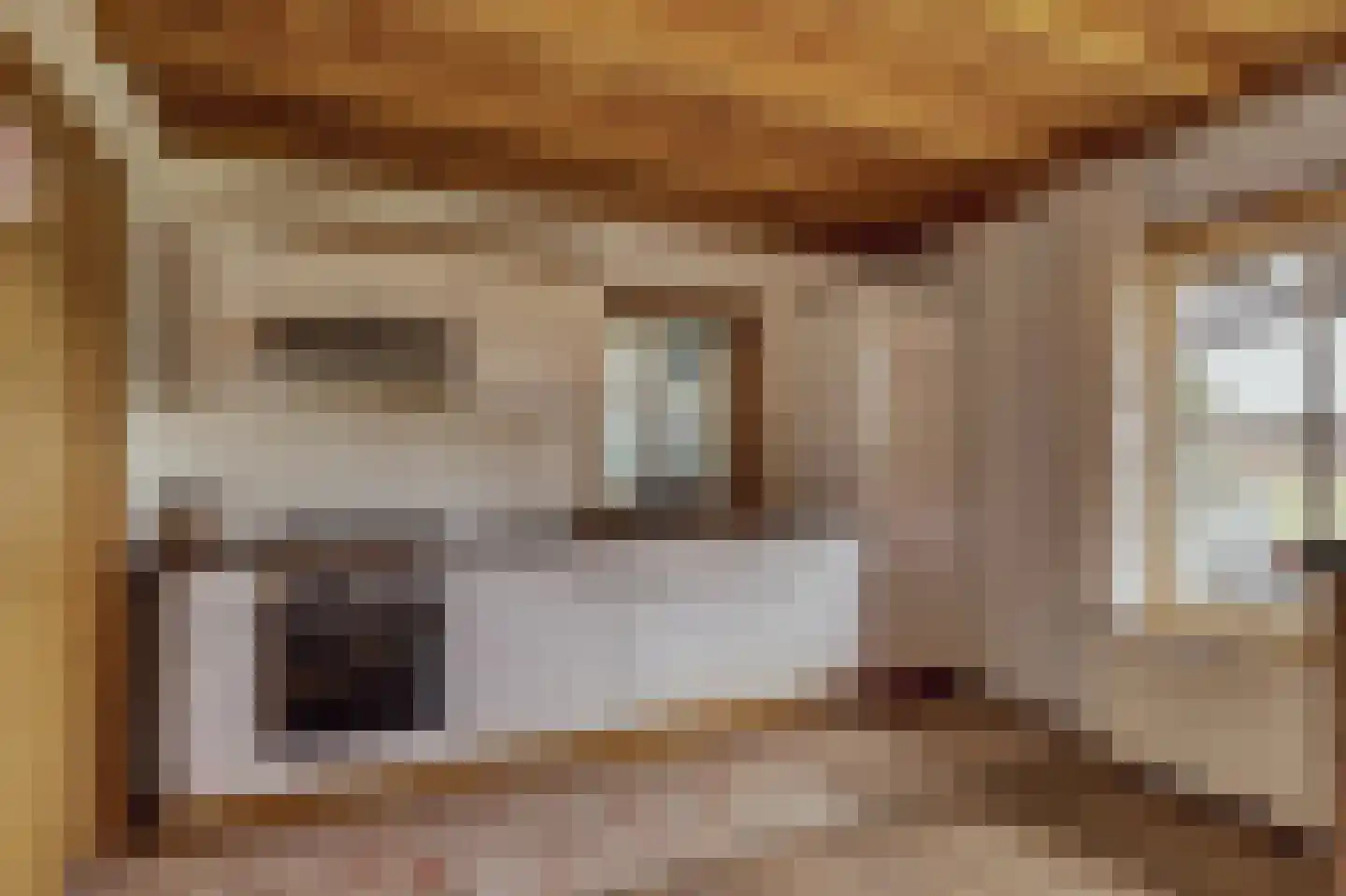 Visserskade 42 Hank thumbnail 33