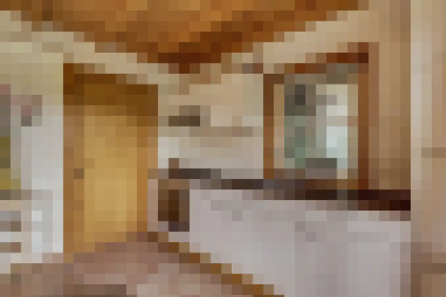 Visserskade 42 Hank thumbnail 34