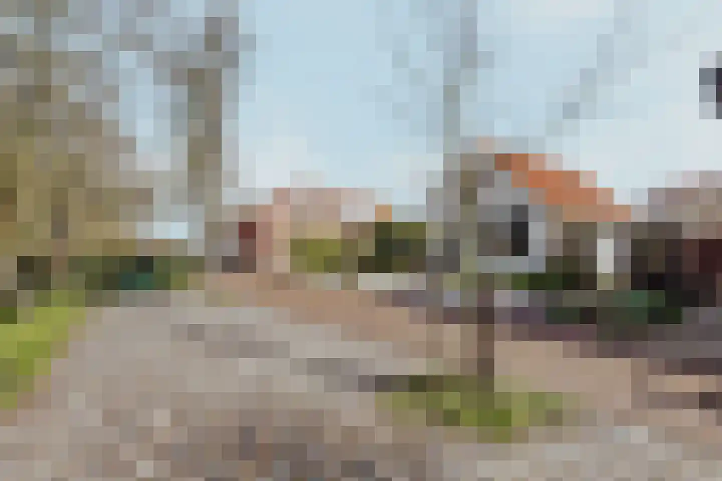 Visserskade 42 Hank thumbnail 5