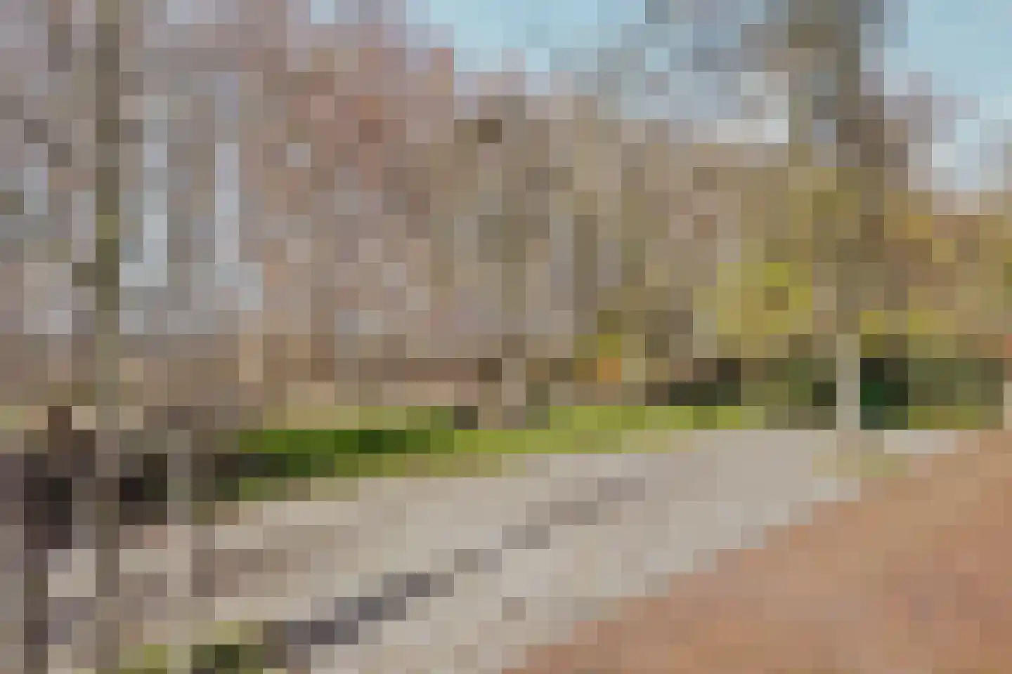 Visserskade 42 Hank thumbnail 7