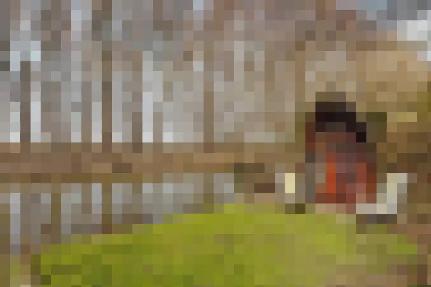 Visserskade 42 Hank thumbnail 77