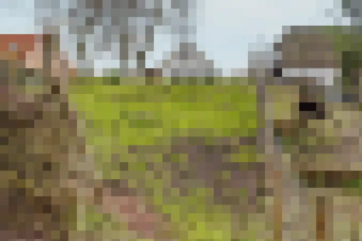 Visserskade 42 Hank thumbnail 79