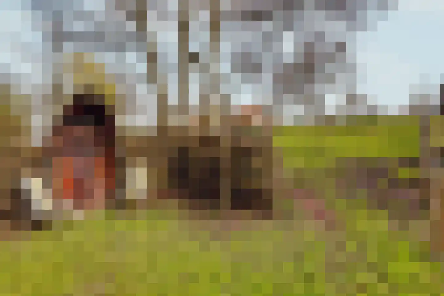 Visserskade 42 Hank thumbnail 80