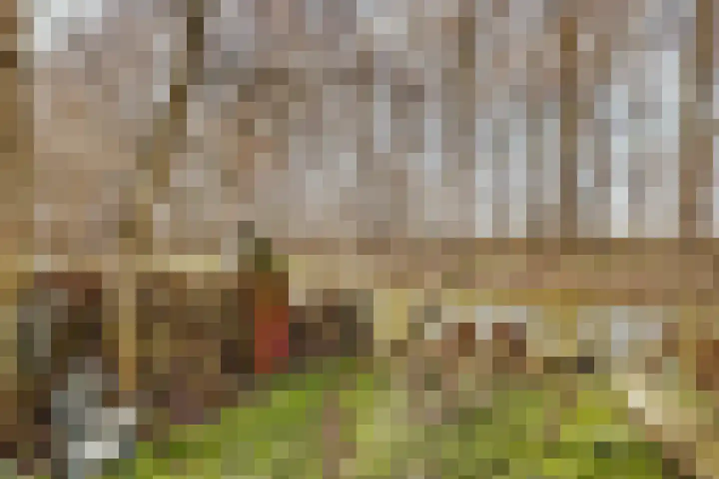 Visserskade 42 Hank thumbnail 81
