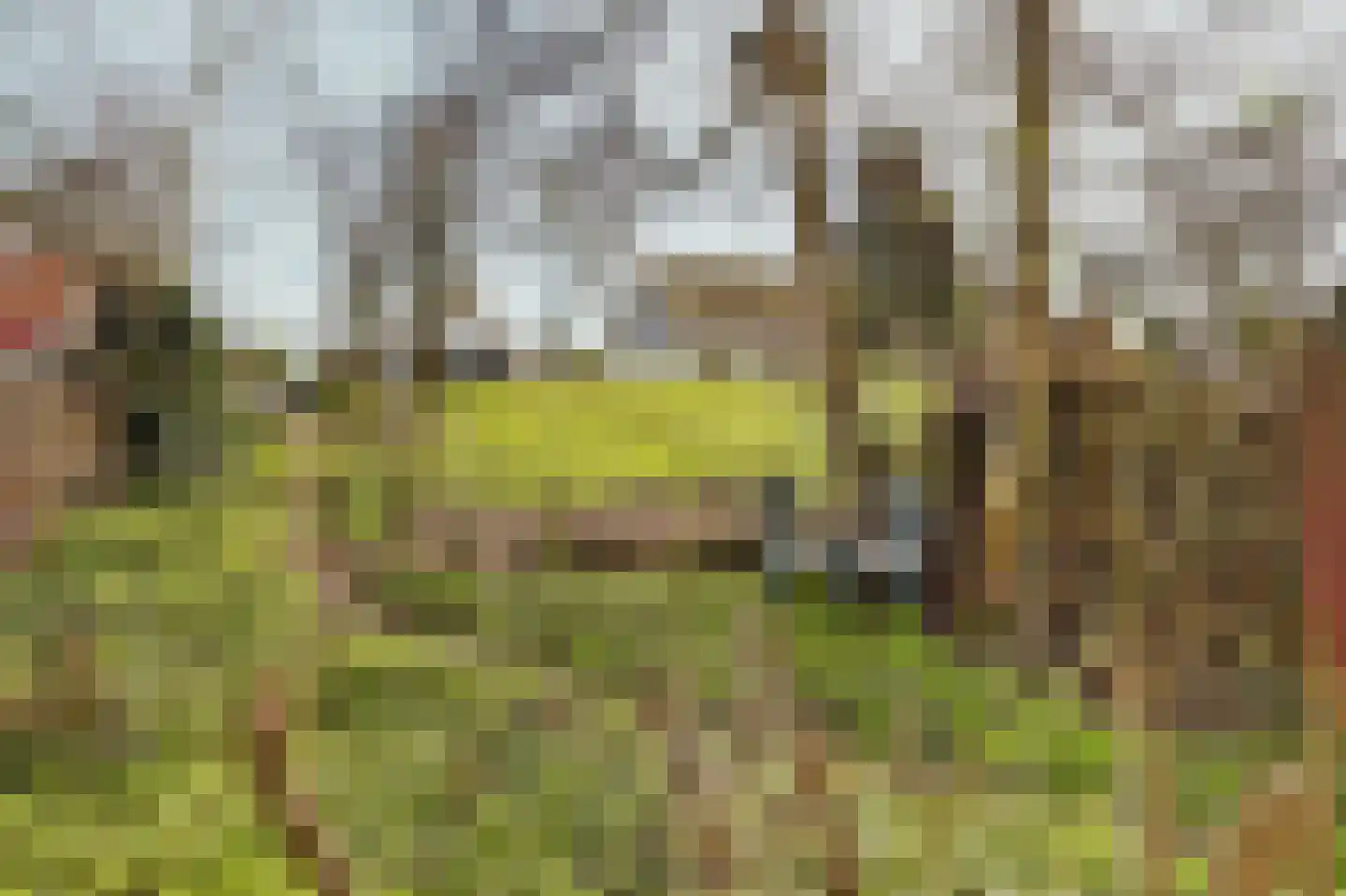 Visserskade 42 Hank thumbnail 83