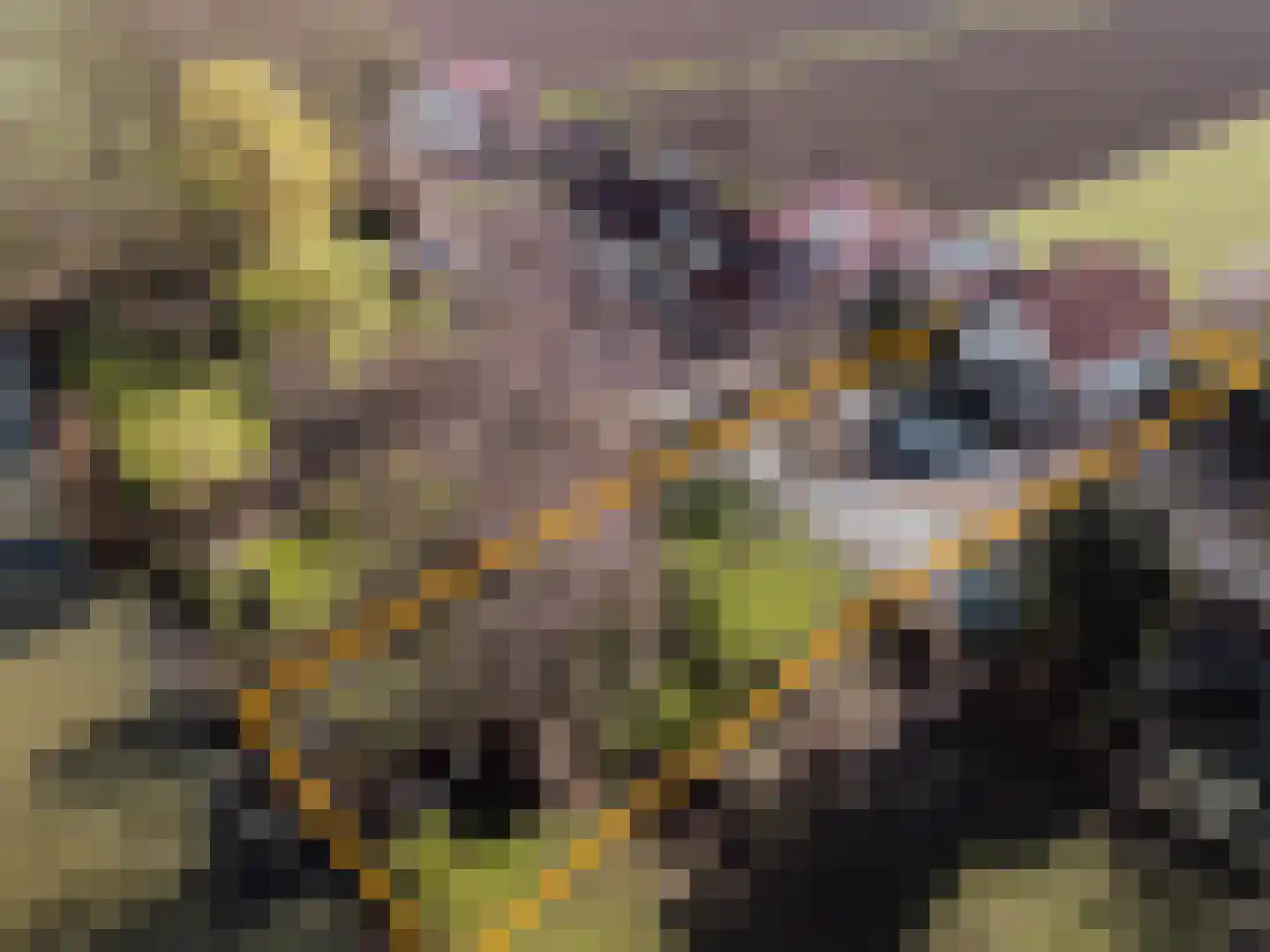 Visserskade 42 Hank thumbnail 86