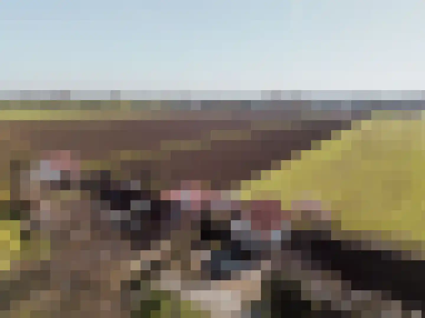 Visserskade 42 Hank thumbnail 87
