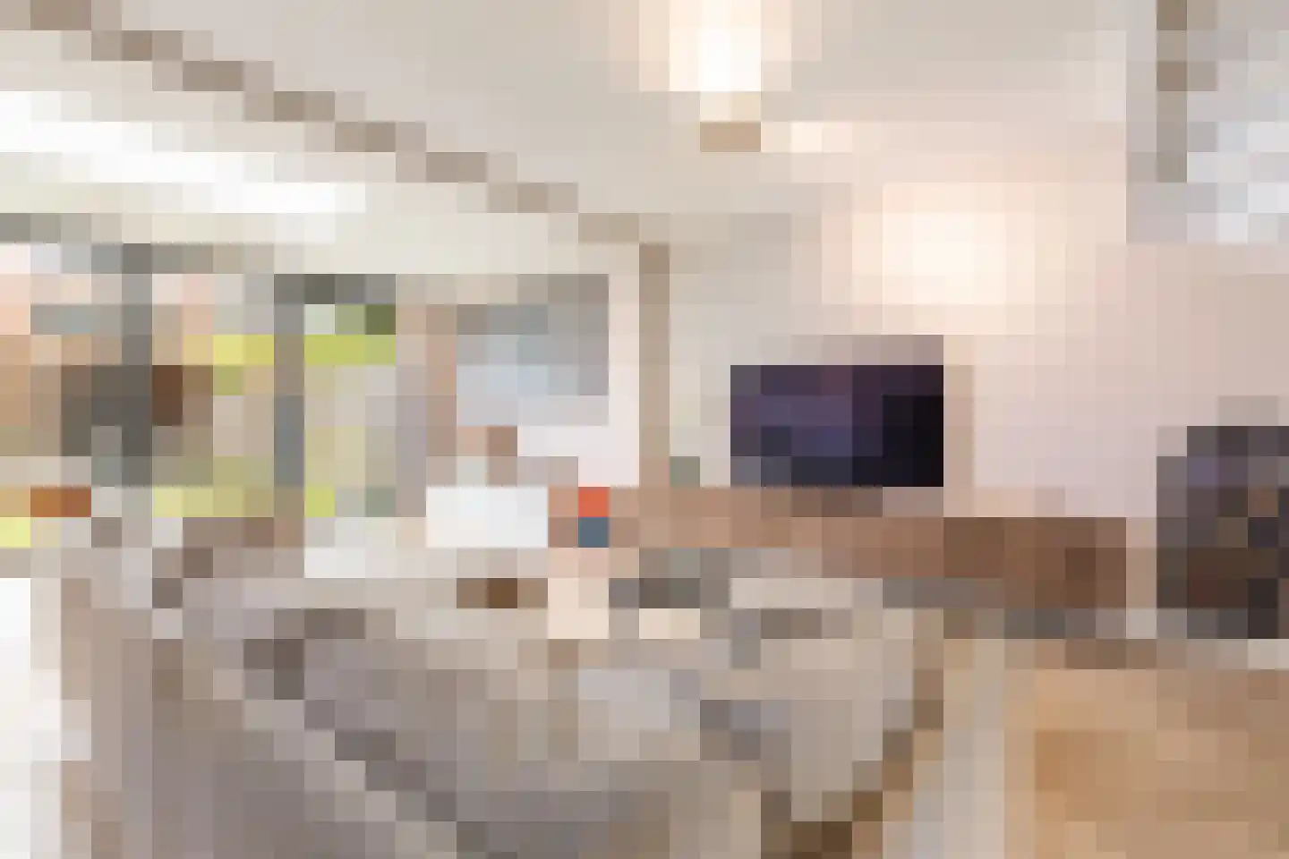 Vissersknoop 10 Almere thumbnail 10
