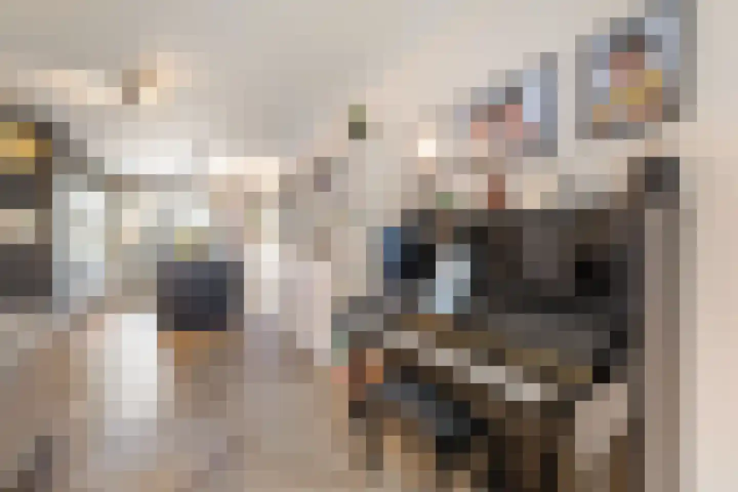 Vissersknoop 10 Almere thumbnail 21