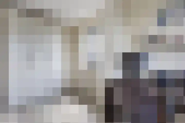 Vissersknoop 3 Almere thumbnail 22