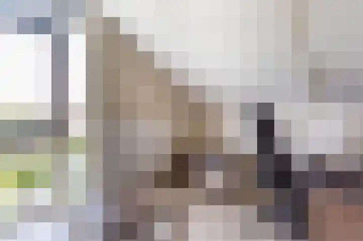 Vissersknoop 3 Almere thumbnail 31