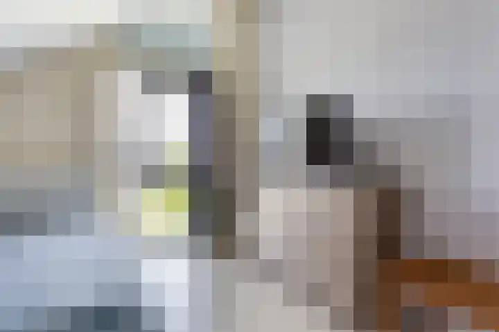 Vissersknoop 3 Almere thumbnail 34