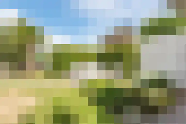 Vissersknoop 3 Almere thumbnail 46