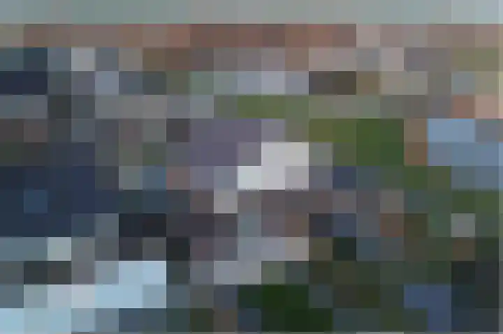 Vissersknoop 3 Almere thumbnail 49