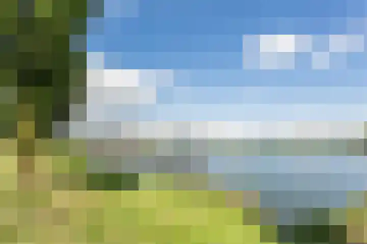 Vissersknoop 3 Almere thumbnail 51