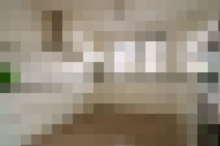 Vissersknoop 54 Almere thumbnail 11