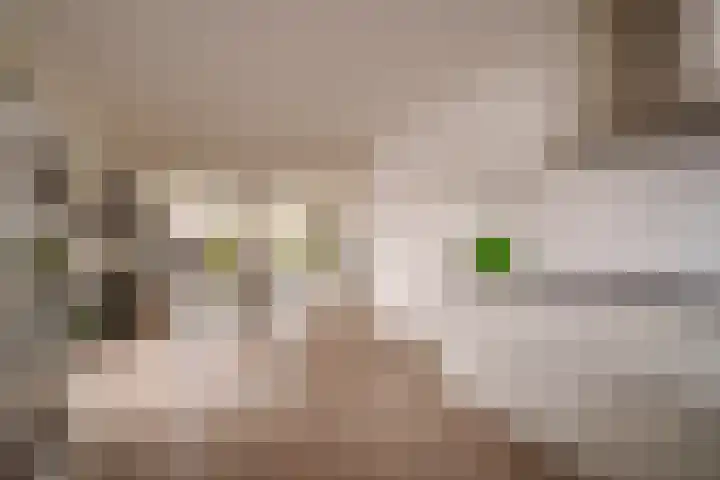 Vissersknoop 54 Almere thumbnail 12