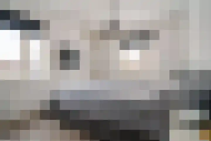 Vissersknoop 54 Almere thumbnail 17