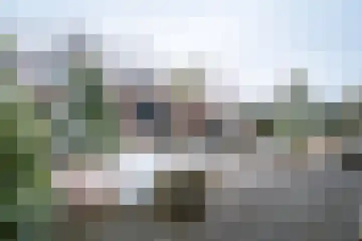 Vissersknoop 54 Almere thumbnail 35