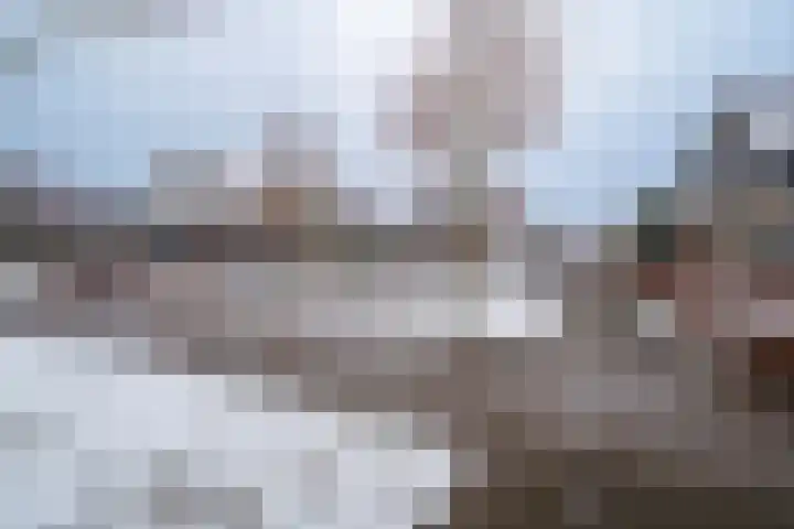 Vissersknoop 54 Almere thumbnail 43
