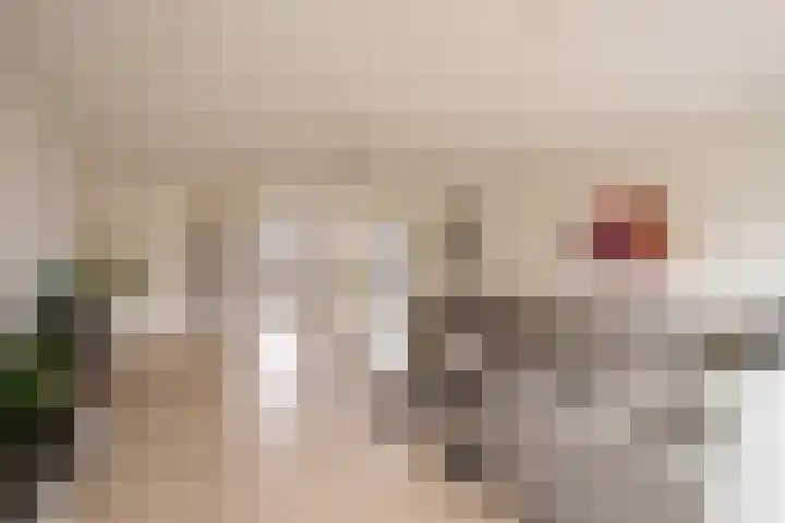 Vissersknoop 54 Almere thumbnail 6