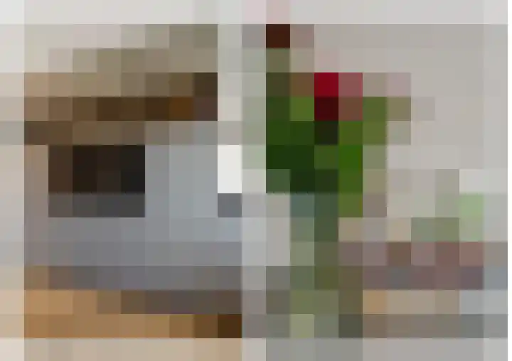 Vissersknoop 9 Almere thumbnail 14