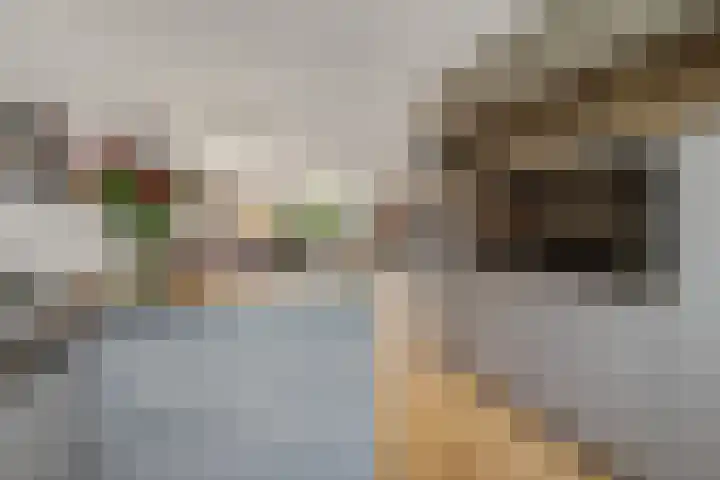 Vissersknoop 9 Almere thumbnail 16