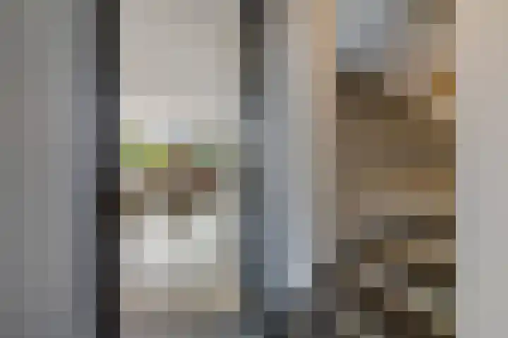 Vissersknoop 9 Almere thumbnail 18