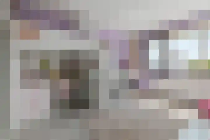 Vissersknoop 9 Almere thumbnail 22