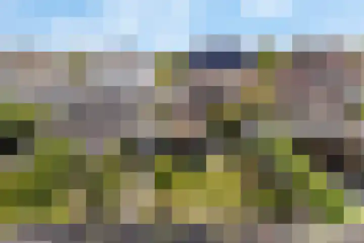 Vissersknoop 9 Almere thumbnail 34