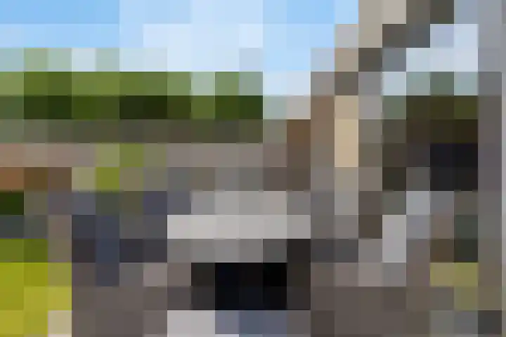 Vissersknoop 9 Almere thumbnail 35
