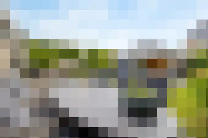 Vissersknoop 9 Almere thumbnail 36