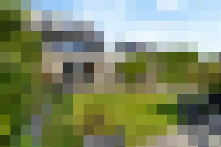 Vissersknoop 9 Almere thumbnail 39