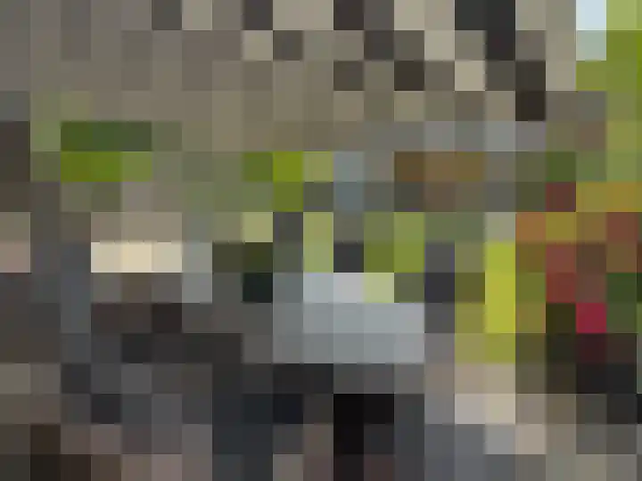 Vissersknoop 9 Almere thumbnail 4