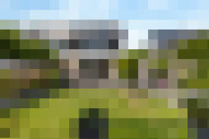 Vissersknoop 9 Almere thumbnail 41