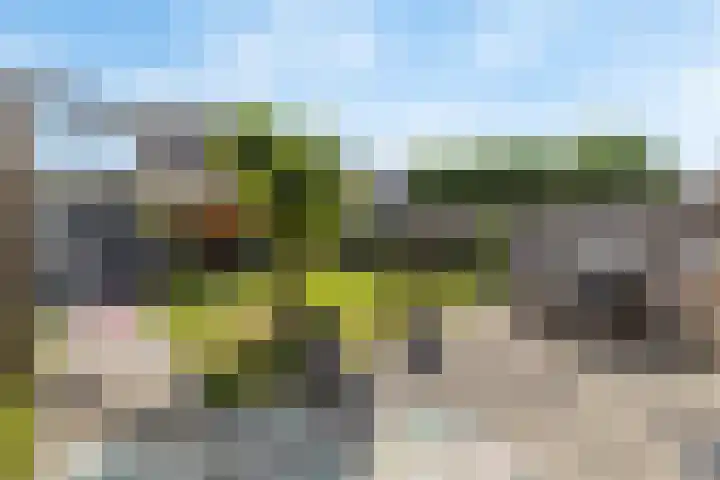 Vissersknoop 9 Almere thumbnail 42