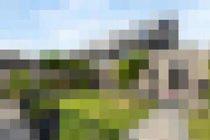 Vissersknoop 9 Almere thumbnail 43