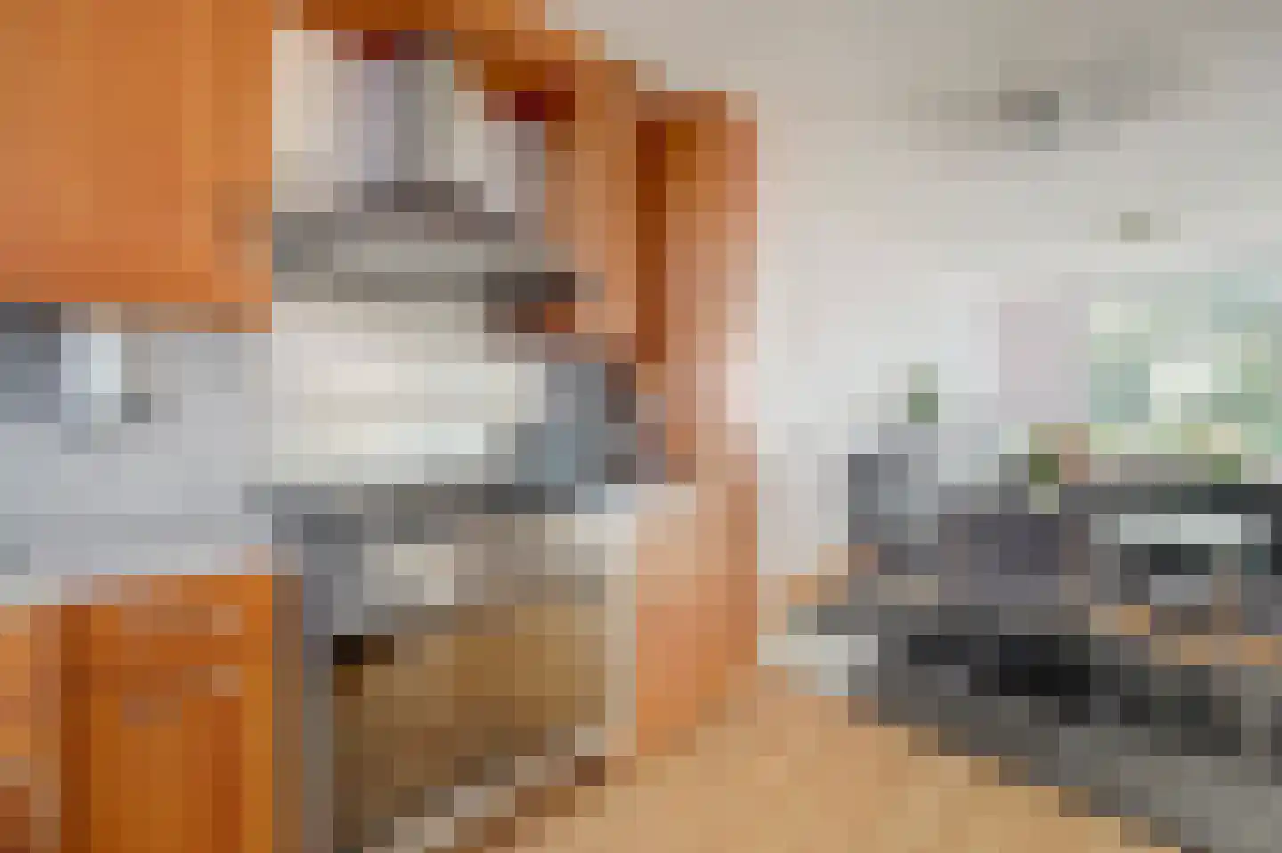Visserskreek 100 Spijkenisse thumbnail 13