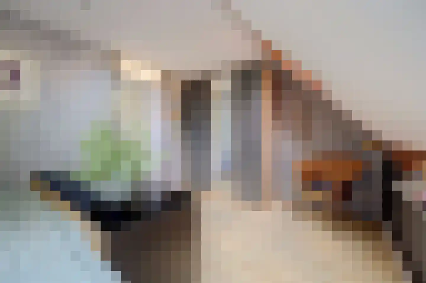 Visserskreek 100 Spijkenisse thumbnail 21