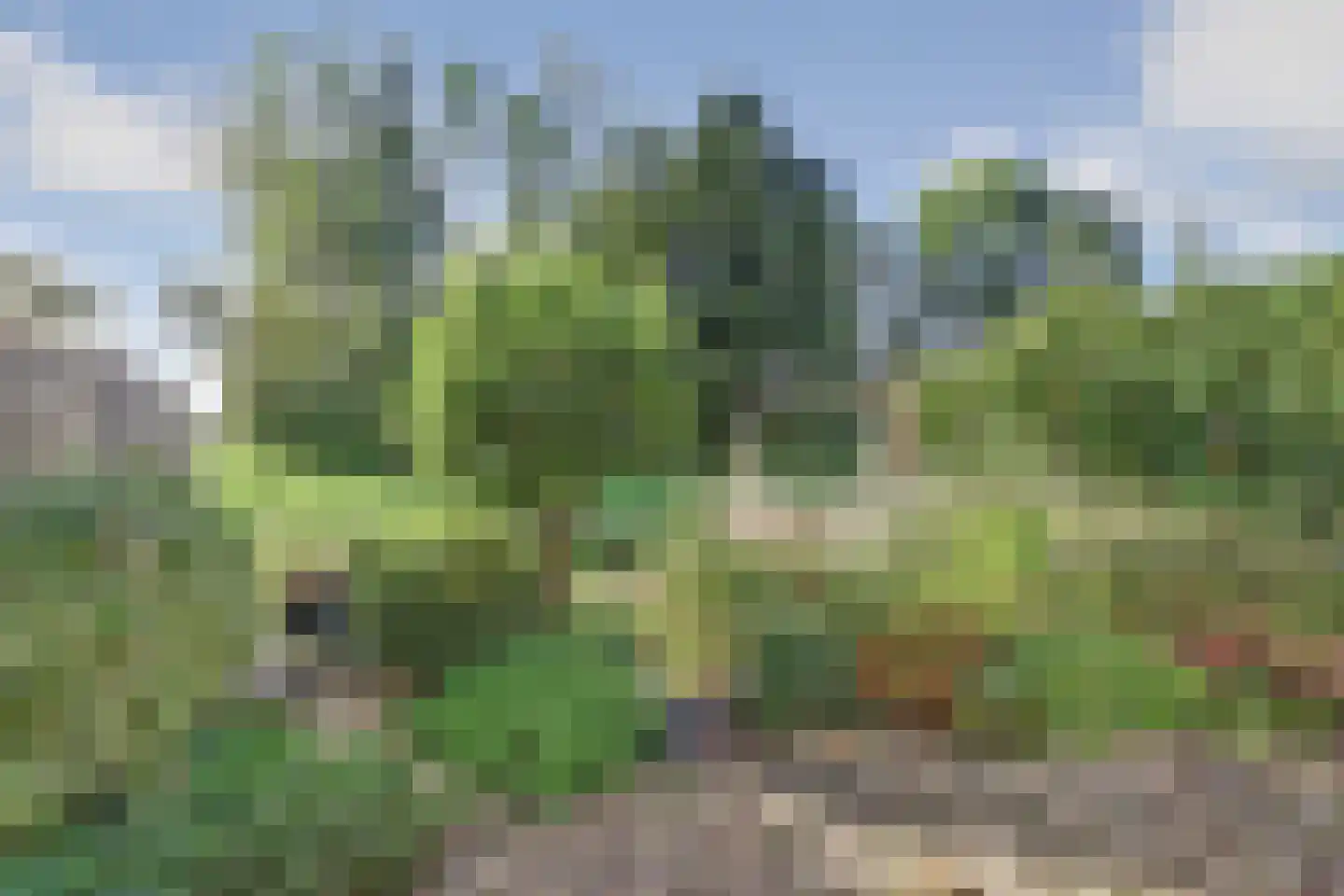 Visserskreek 100 Spijkenisse thumbnail 35