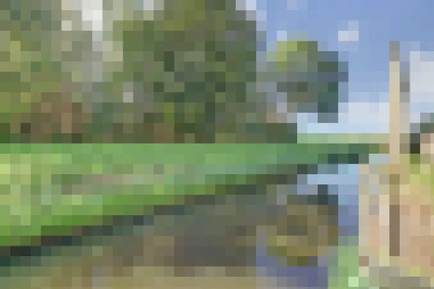 Visserskreek 100 Spijkenisse thumbnail 39