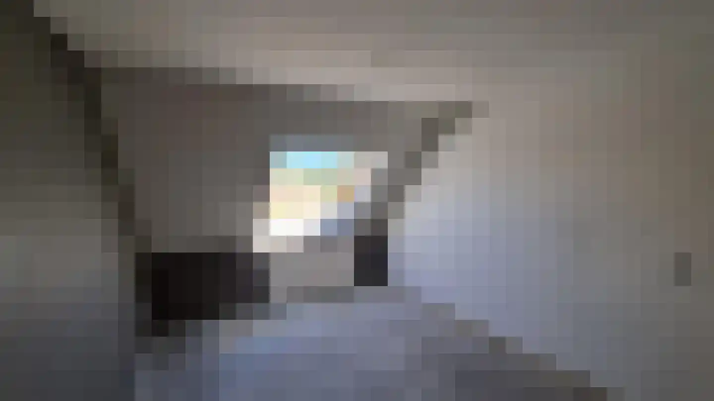 Visserskreek 30 Spijkenisse thumbnail 10