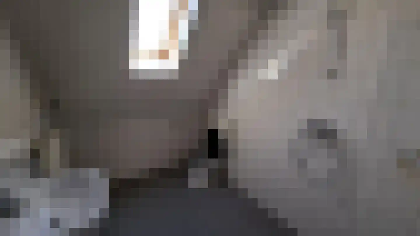 Visserskreek 30 Spijkenisse thumbnail 13