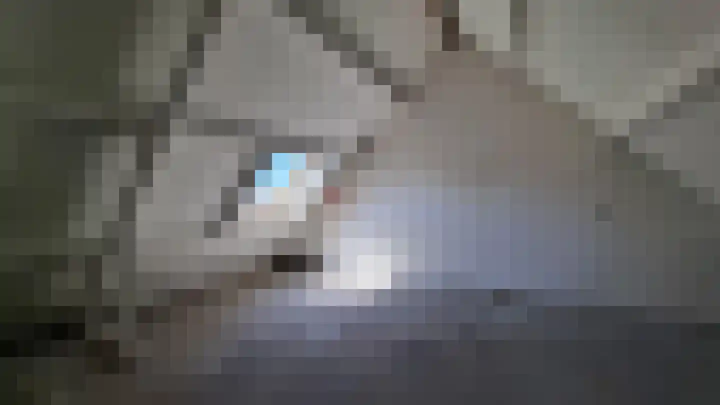 Visserskreek 30 Spijkenisse thumbnail 14