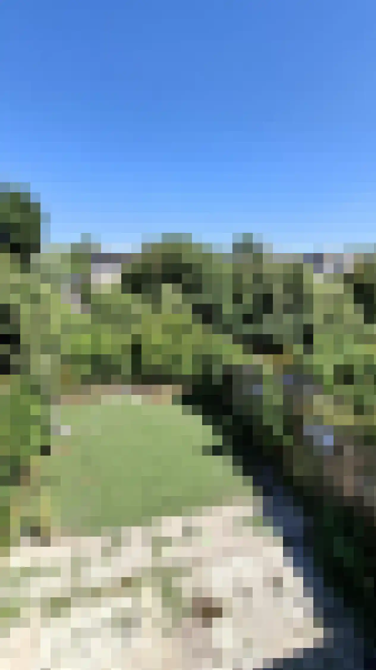 Visserskreek 30 Spijkenisse thumbnail 7