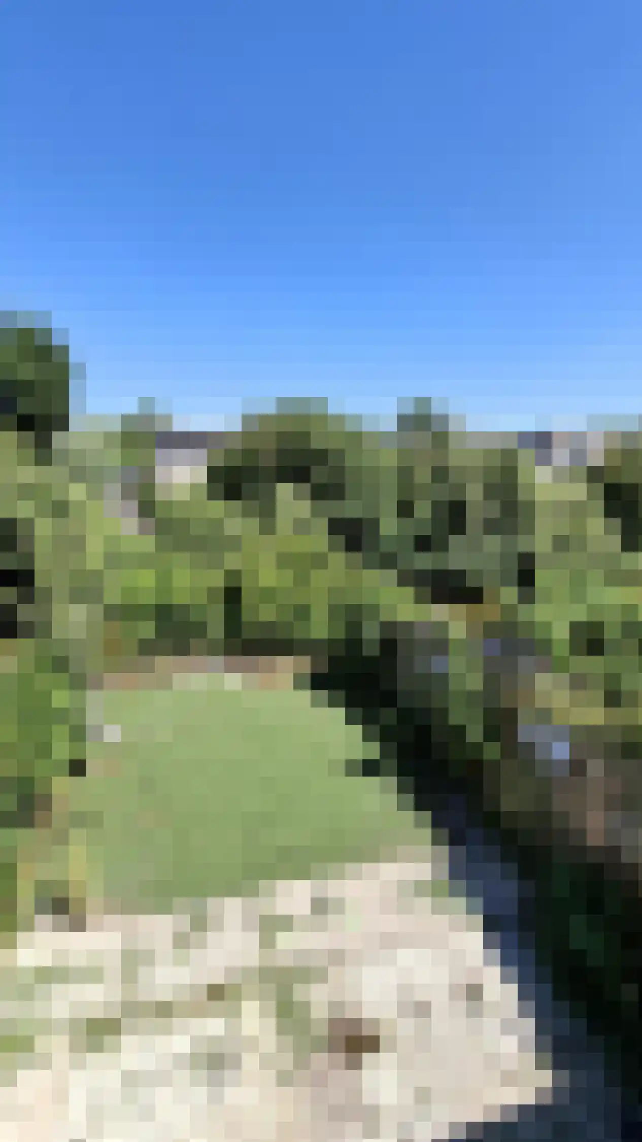 Visserskreek 30 Spijkenisse thumbnail 7