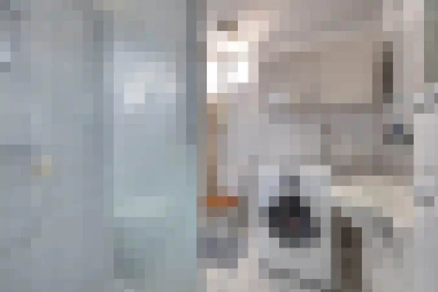 Visserskreek 50 Spijkenisse thumbnail 24